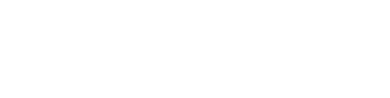 Panama Projects International
